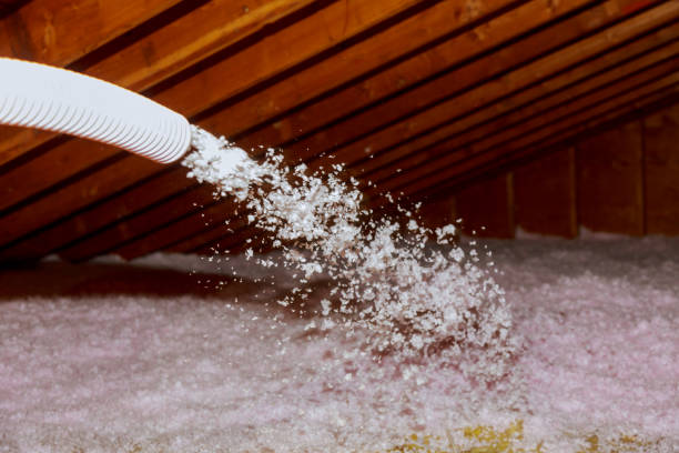 Best Energy-efficient Insulation  in Pecatonica, IL