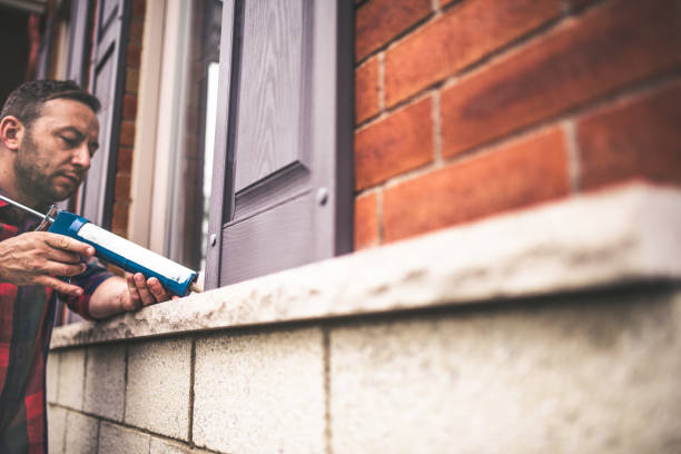 Best Affordable Insulation Services  in Pecatonica, IL
