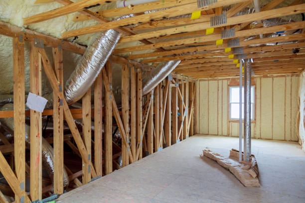 Best Insulation Contractor Near Me  in Pecatonica, IL