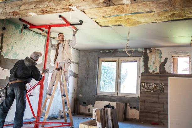 Best Insulation Contractors for Homes  in Pecatonica, IL