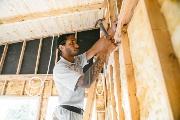 Best Garage Insulation Installation  in Pecatonica, IL