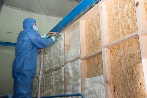 Best Wall Insulation Contractor  in Pecatonica, IL