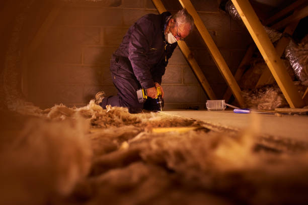 Professional Insulation Contractor in Pecatonica, IL